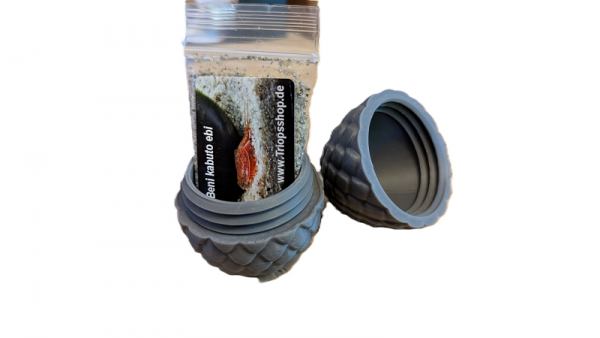 Triops Drachenei Grau